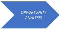 Strategic Sourcing - Opportunity Analysis